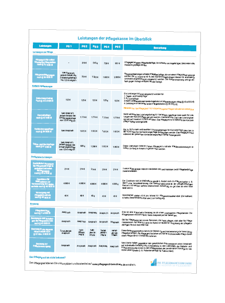 DinA1 Poster Mit Leistungs berblick Der Pflegekasse F r Beratungs Und 